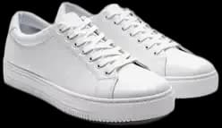 Leather sneakers · white